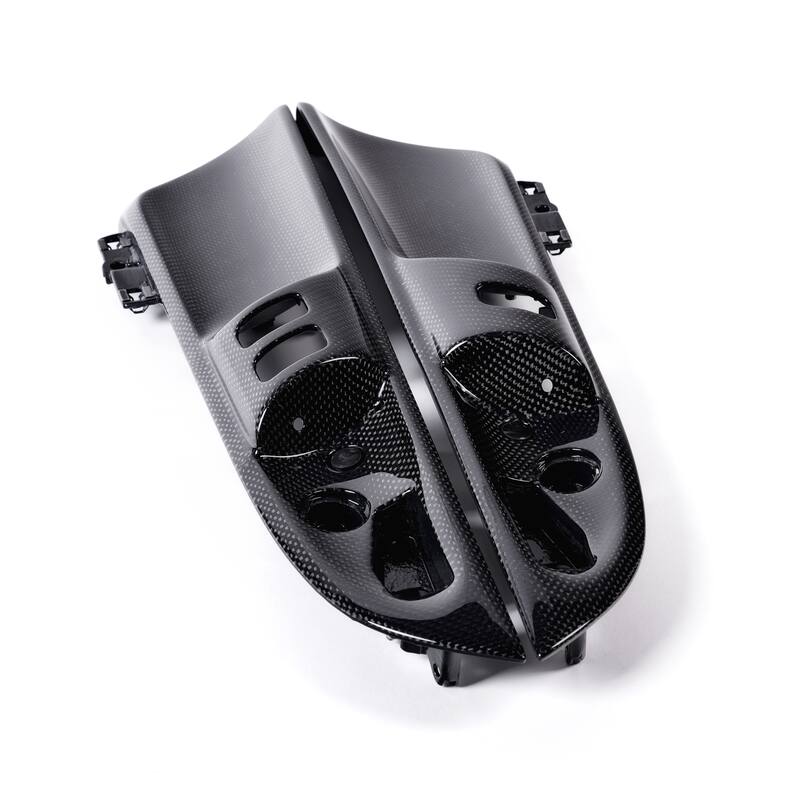 Carbon Türeinsätze